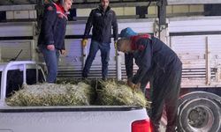 Erzurum’da yolda kalan tırlardaki hayvanlar beslendi
