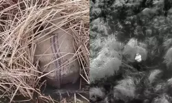 Yasa dışı avcılık yapan 13 kişiye idari işlem