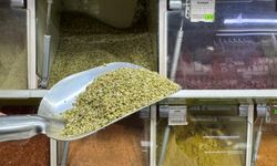 Baharat sektörü tağşişe çok açık