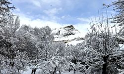 Hakkari’de kar yağışı sonrası kartpostallık manzaralar