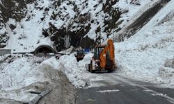 Hakkari'de gün içinde dört çığ olayı yaşandı