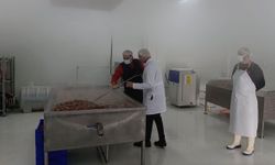 Devlet desteğiyle kurulan tesiste yılda 600 ton et işlenecek