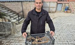 İnsan kemikleri bulunan küpler ortaya çıktı