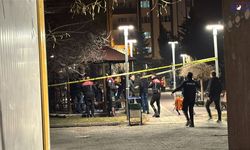 Van’da bir kişi silahla vuruldu