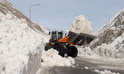 Hakkari-Van kara yoluna düşen çığ temizlendi