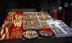 Balık tezgahlarında çeşit bolluğu