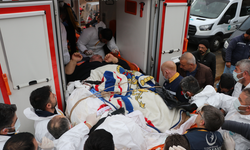 Fil hastası 30 kişi tarafından evinden çıkartıldı