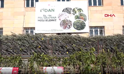 Şırnak’ta 110 çiftçiye 25 bin 200 fidan dağıtıldı