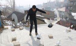 Evinin damında 3 ırktan 50 güvercin besliyor