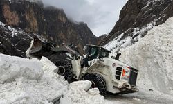 Hakkari-Çukurca Karayoluna düşen çığ temizlendi