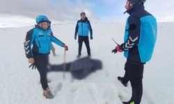 Kayıp olarak aranan Alzheimer hastası ölü bulundu