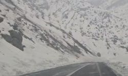 Kopan dev kaya parçası yola düştü