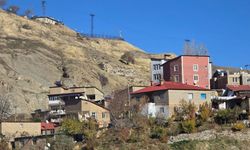 Hakkari'deki Mir Kalesi için ihaleye çıkıldı