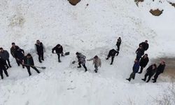 Off-road ekibi çığdan son anda kurtuldu