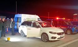 Park halindeki otomobilde ölü bulundu