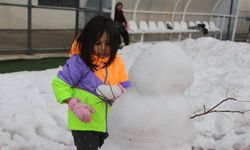 Şırnak’ta 'Aileler Arası Ödüllü Kardan Adam Şenliği'
