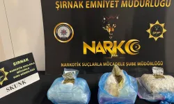Şırnak’ta 1 kilo 431 gram skunk ele geçirildi