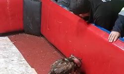 Horoz dövüşüne suçüstü: 661 bin TL’lik ceza kesildi