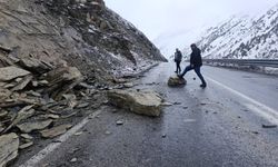 Hakkari- Van karayoluna kaya düştü