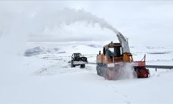 Bitlis'te "kar kaplanları" kesintisiz ulaşım için sahada