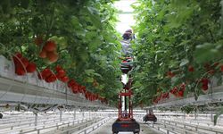 214 projeye 1,7 milyar lira hibe verilecek