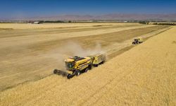 TKDK’dan depremzede yatırımcılara 3,1 milyar lira destek