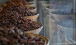 Ramazan ayının gözdesi hurma tezgahlardaki yerini aldı