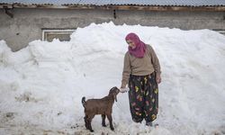 Ovacık’ta 2,5 metre kara rağmen üretim sürüyor