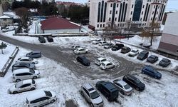 Erzurum, Kars ve Ardahan'da soğuk hava etkili oluyor