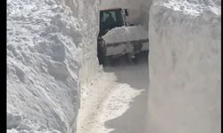 Çığ düşen mahalle yolunda karla mücadele sürüyor