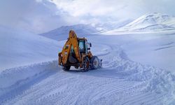 Hakkari ve Van'da 11 yerleşime ulaşım yok