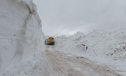 Van’da ekiplerin zorlu karla mücadele çalışması