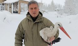Hakkari'de donmak üzere olan leyleğe şefkat eli