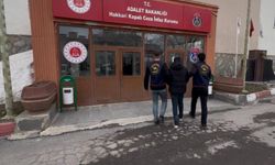 Hakkari’de zehir tacirlerine darbe