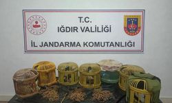 Kaçak keklik avcılarına 175 bin lira ceza