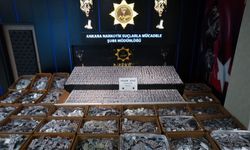 Ankara'da 810 bin hap ele geçirildi: 2 tutuklama