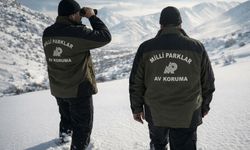 Yasa dışı avcılığa 984,7 bin lira ceza