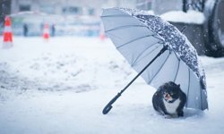 Meteoroloji’den Hakkari için uyarı