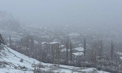 Hakkari baharı beklerken kışa yakalandı!