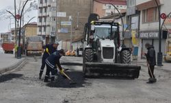 Hakkari İl Özel İdaresi ve belediyeden ortak yol çalışması