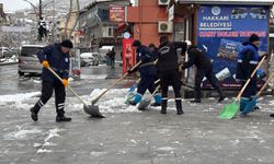 Bahar beklenirken Hakkari’ye kar yağdı