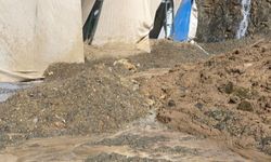 Hakkari’de yağış sonrası heyelan