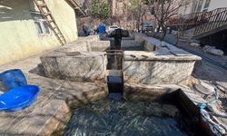 Hakkari’de Ramazan Ayında alabalığa yoğun ilgi