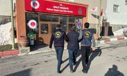 Hakkari’de aranan 7 kişi jandarmadan kaçamadı
