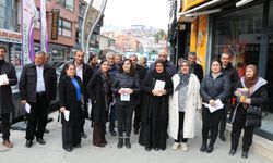 DEM Parti Hakkari İl Örgütü’nden 8 Mart etkinliği için davet