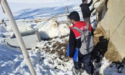 Hakkari’de hayvan sağlığı denetimleri sürüyor