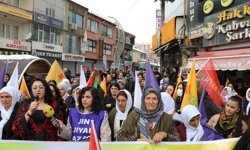 DEM Parti Hakkari İl Örgütü’nden 8 Mart programı