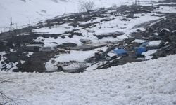 Hakkari’de çığ düşme anı kameralara yansıdı