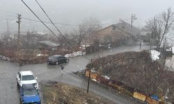 Hakkari’de Mart ayında kar ve sis etkili oldu