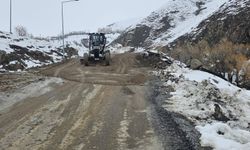 Hakkari’de Otluca Köyü yolu onarıldı